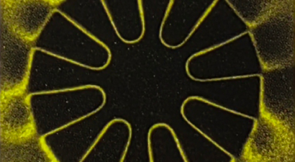 neomettech multipole Neodymium magnet